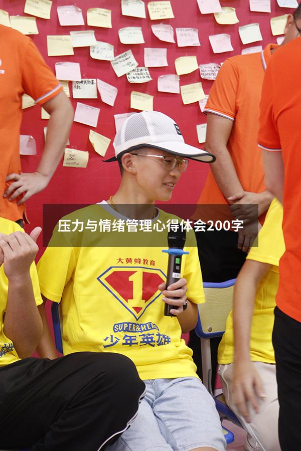 压力与情绪管理心得体会200 字